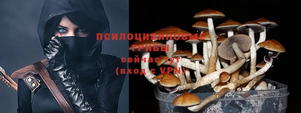 прущие грибы Пересвет