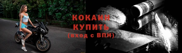 гашик Богородск