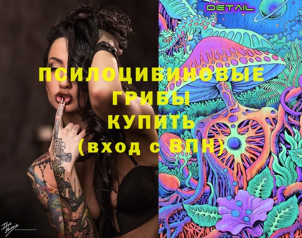 mdpv Богданович