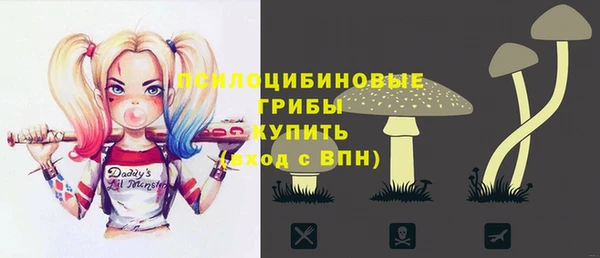 гашик Богородск
