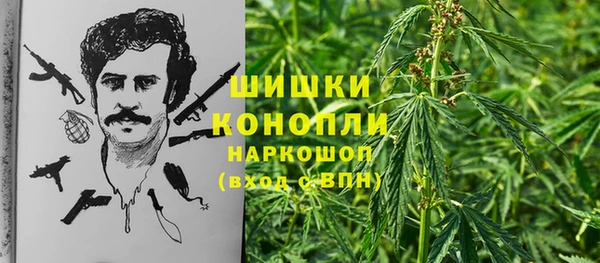 mdpv Богданович