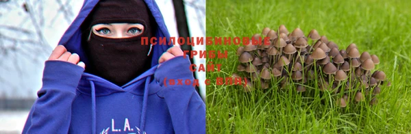 не бодяженный Богородицк